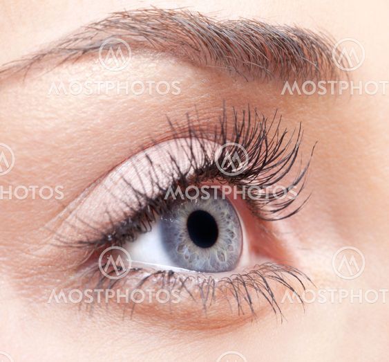 Woman eye