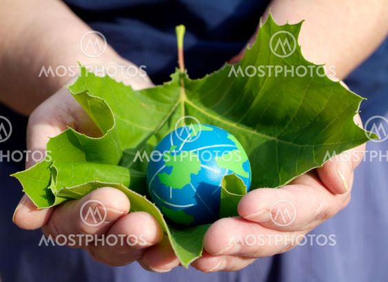 environmental conservation