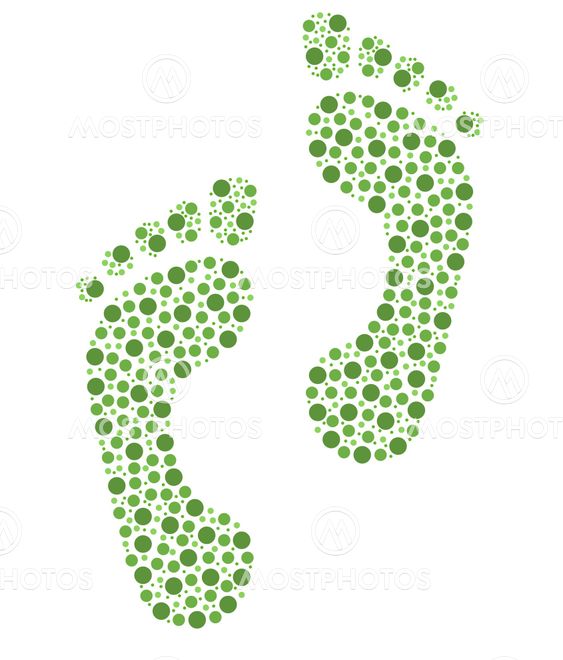 Feet