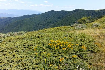 Summer landscape of Belasitsa Mountain, Bulgaria