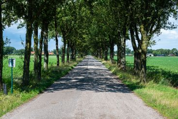 Gravel path as a biking trail at the Dutch Belgian...