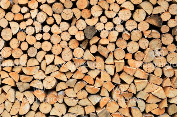 Firewood pile stacked chopped wood trunks