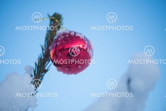 christmas balls on tree