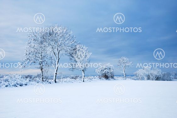 Beautiful snow covered landscape
