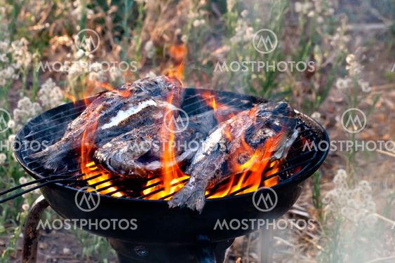 Sea Bream Fish Grilling On BBQ