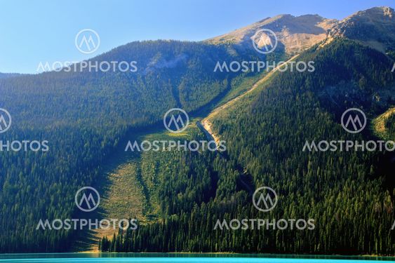 Avalanche path at Emerald Lake, Yoho National Park, Canada