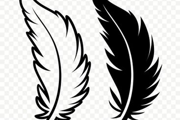 Vector Black and White Fluffy Feather Logo Icons....