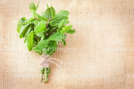 Bunch of mint on a burlap background