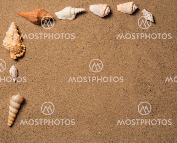sea shells with sand as background