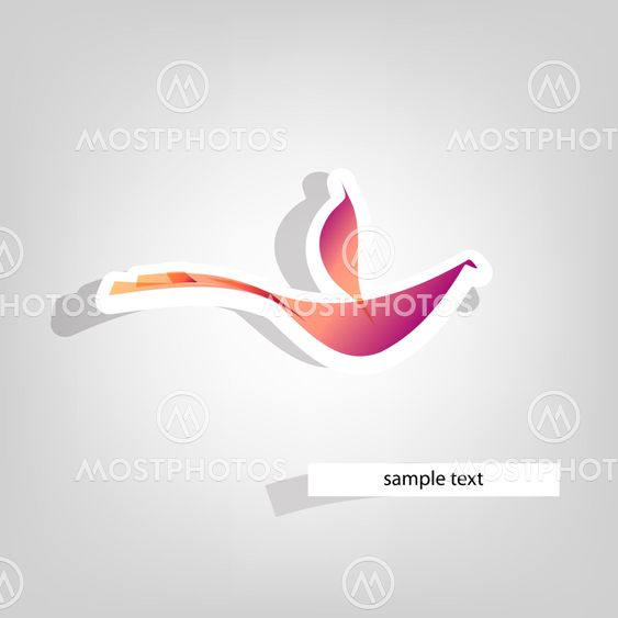 Colorful bird vector illustration