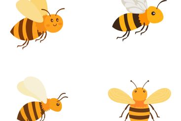 Elements Set of Cute Honeybee Bee Insect Nature Animal...