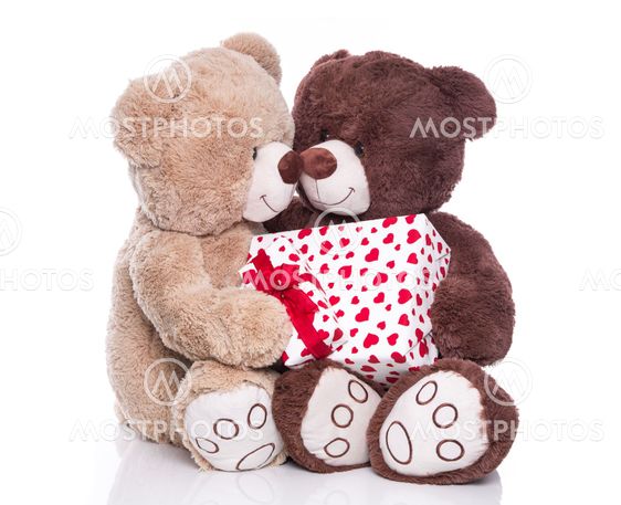 Isolated teddy bears with a gift box for valentine.