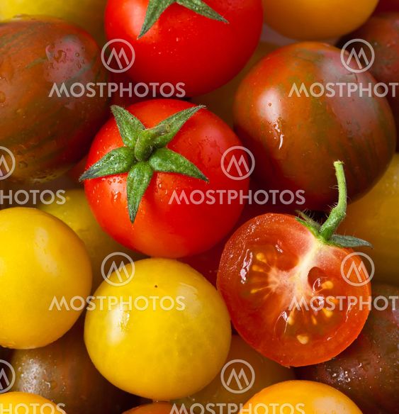 Tomatoes.