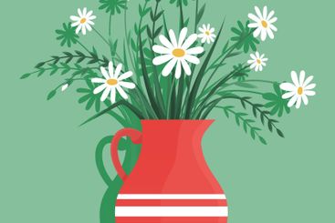 Bouquet of white chamomiles, blooming garden plants for...