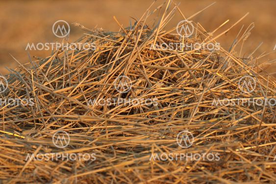 straw