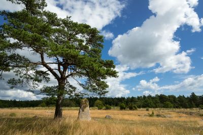 The picture stone of Galrum, Gotland