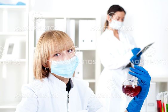 portrait of chemists