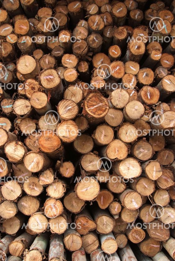 A pile of wood.