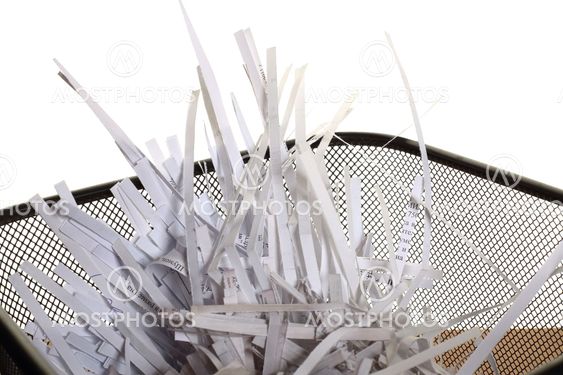 shredded papers close up