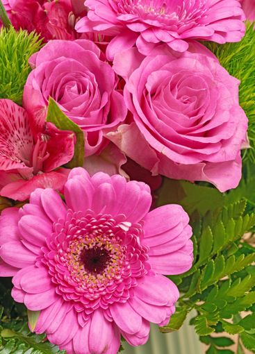 Daisy, bouquet and rose with closeup of flower for...
