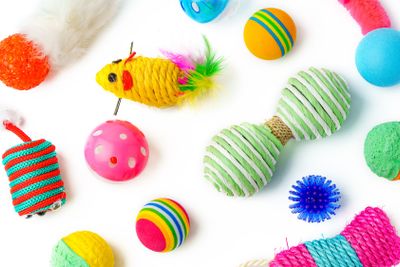 Cat toys isolated on white background studio shot