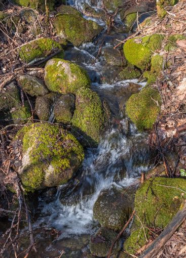 Bäck med rinnande vatten mella stenar med grön mossa