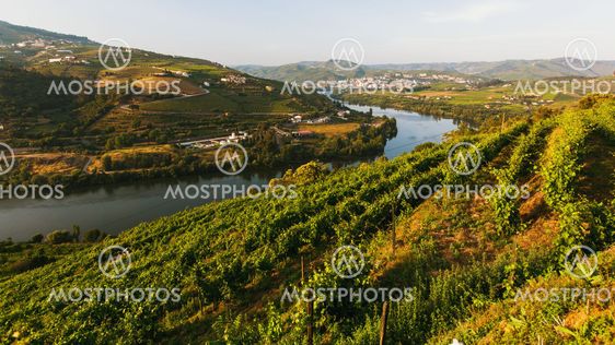 View of the Douro river, and vineyards are on a hills in Douro Valley, Portugal.