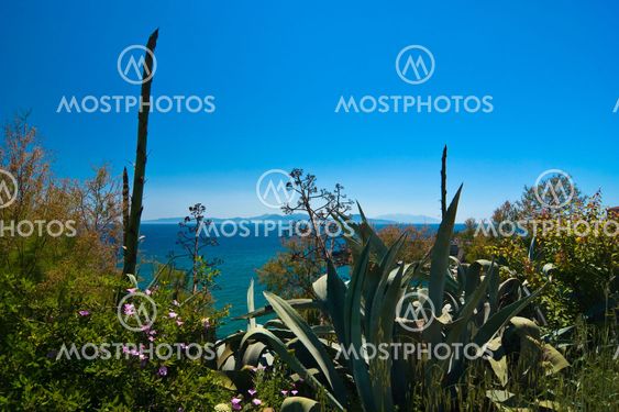 Meerblick bei Piombino/Elba - Seaview at Piombino/Elba