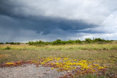 Colourful landscape with bad weather coming up