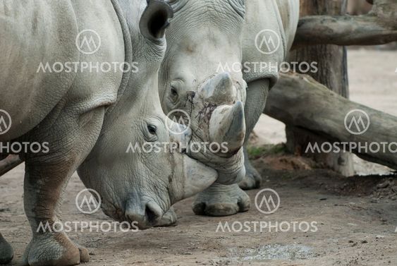 Close encounter
