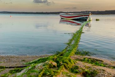 Fishing boats on the lake