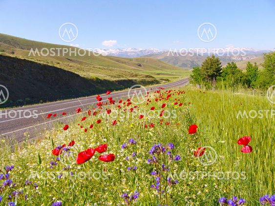silkroad