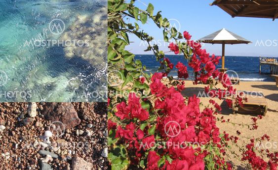 several views of resort