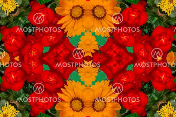 wallpaper, background with a bouquet of colorful...