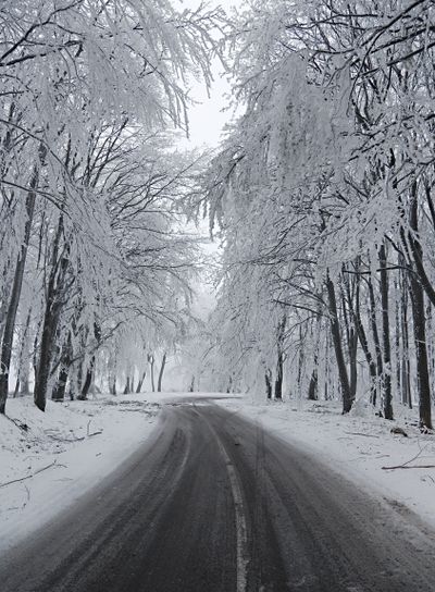 Snowy road conditions
