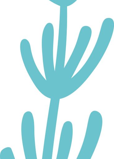 Light blue decorative plant growing upwards with rounded...