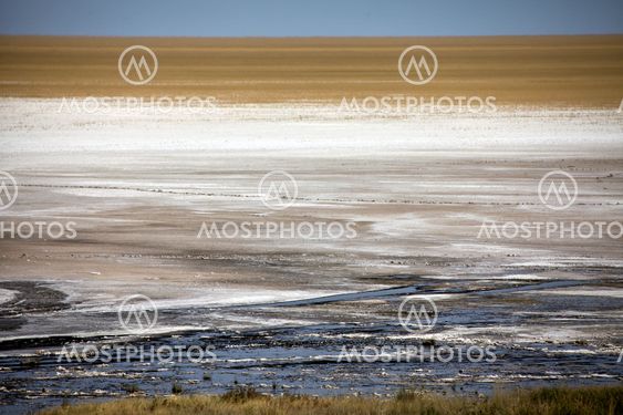 Etosha pan in etosha national park namibia
