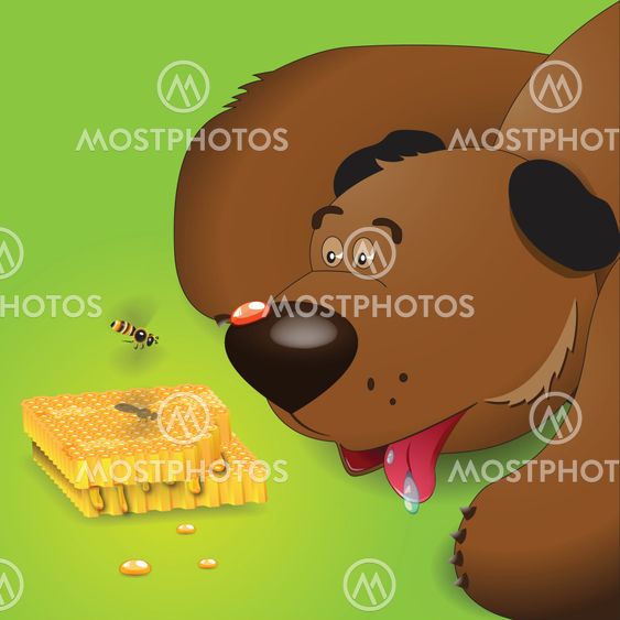 bear and honey