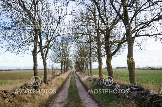 Alley by a country road