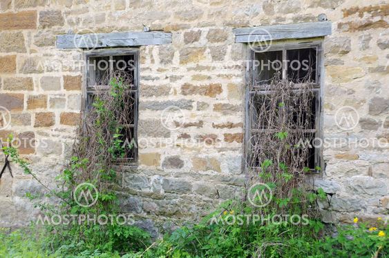 Windows of Old Abandoned Mill