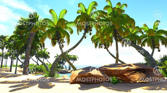Paradise on Earth - tropical atoll near the shore
