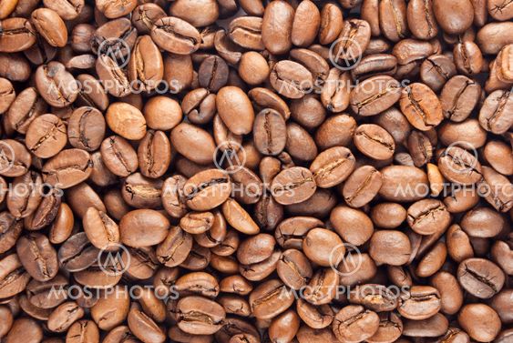 Roasted Coffee beans