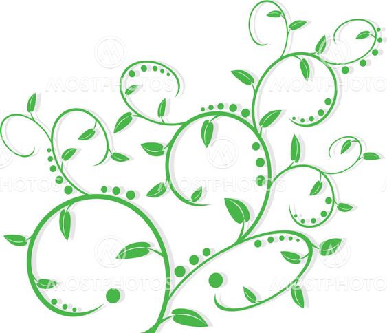 An ornamental tree.