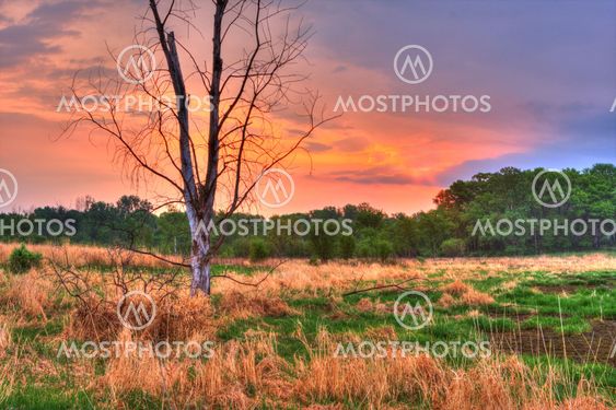 An HDR landscape