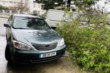Car damaged by fallen tree branch during storm in urban...