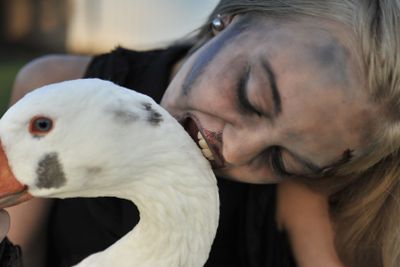zombie eating a goose