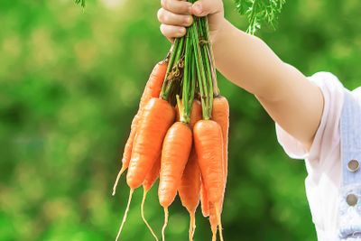 Child and vegetables on the farm. Selective focus.