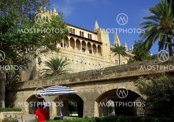 Garden View of the Cathedral La Seu