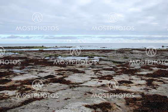 Flat rock coast