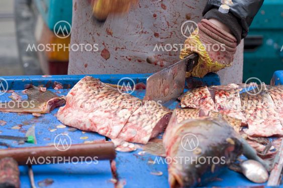 sale of Christmas carps (Czech Christmas tradition), Czech Repub